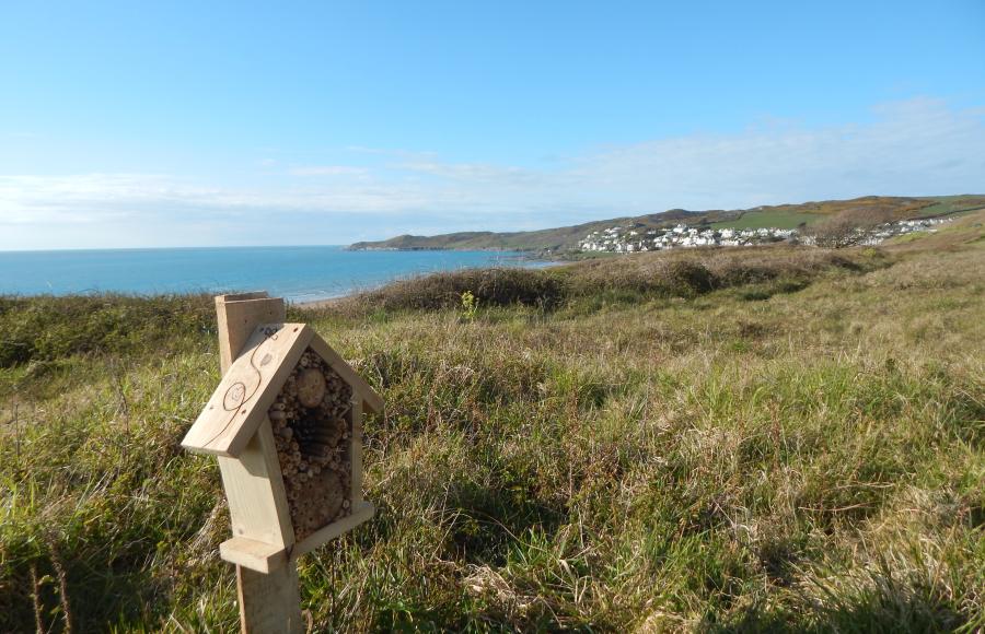 National Trust Easter Trail Woolacombe