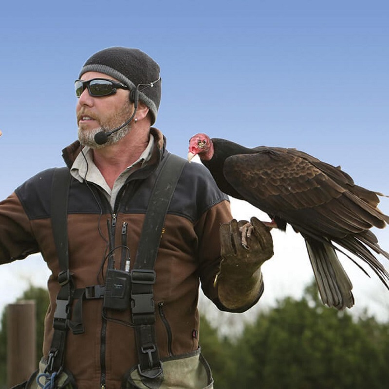 The North Devon Bird of Prey Centre