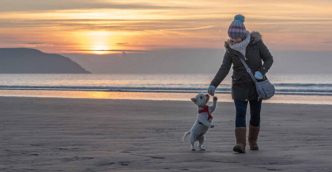 Dog walking on Woolacombe beach