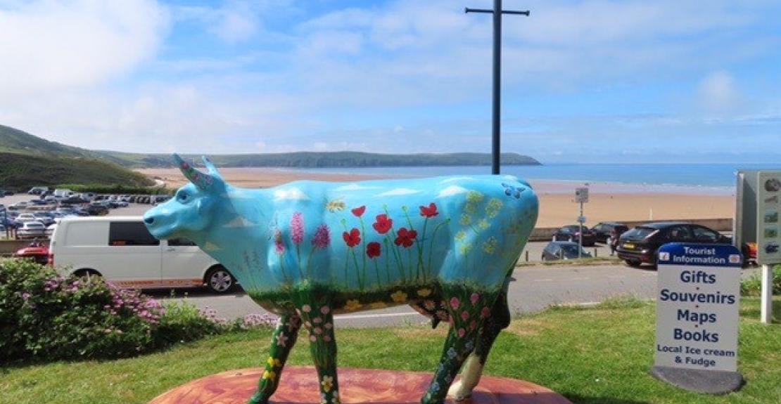 National Trust Cow Trail