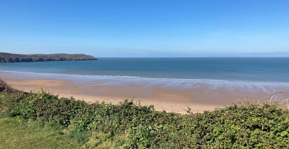 National Trust Sand Dunes Activity Day August 2021