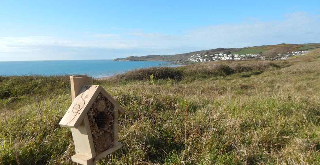 National Trust Easter Trail Woolacombe