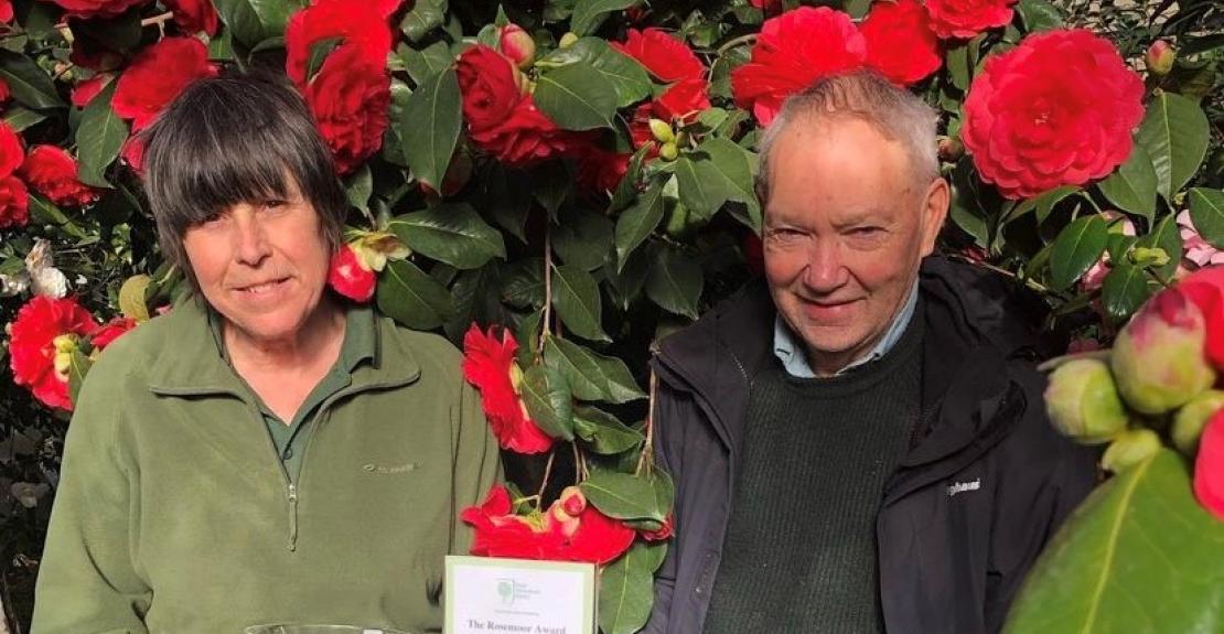 Marwood Hill Gardens Award Winning Camellias