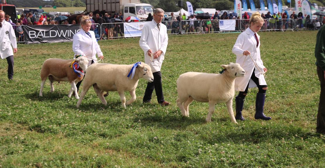 North Devon Show 2022