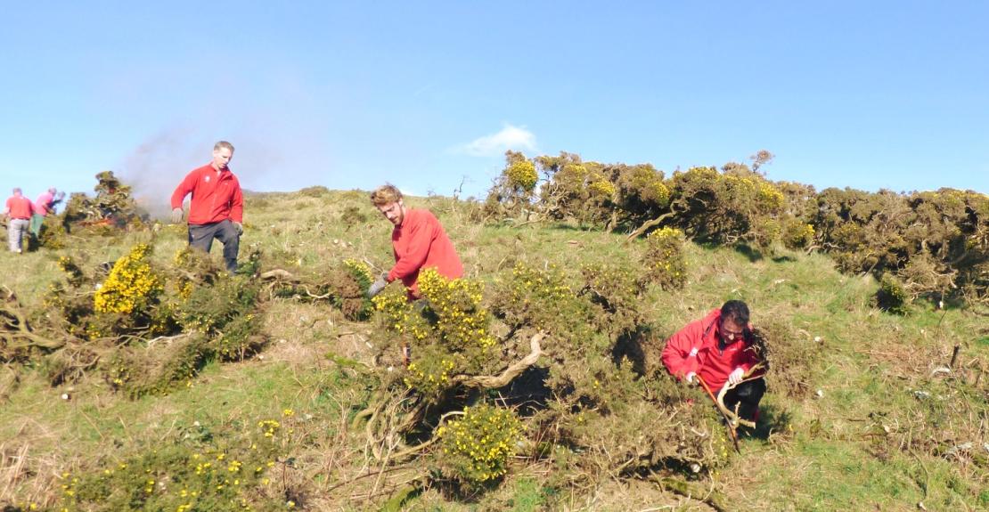 Bash and Burn Woolacombe National Trust Family Volunteering