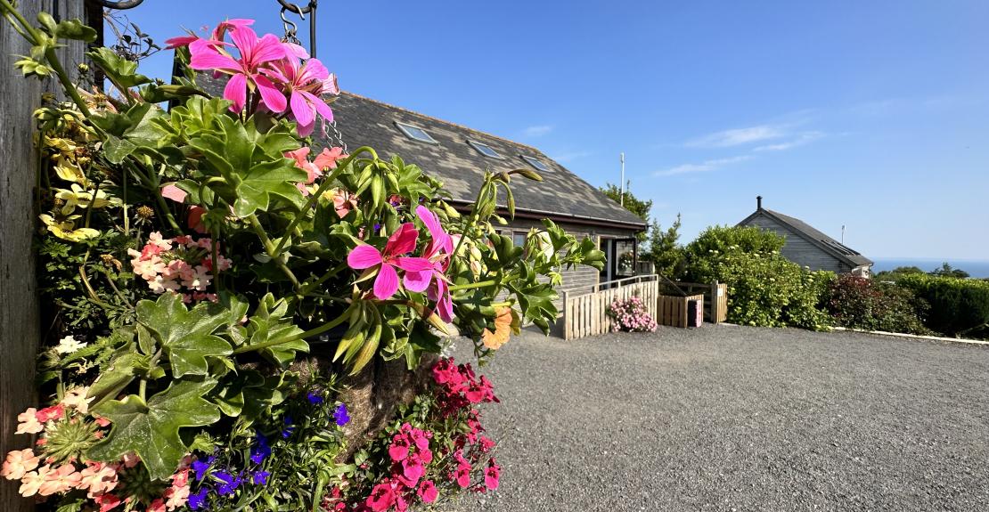 Warcombe Farm Camping Park Mortehoe Woolacombe North Devon