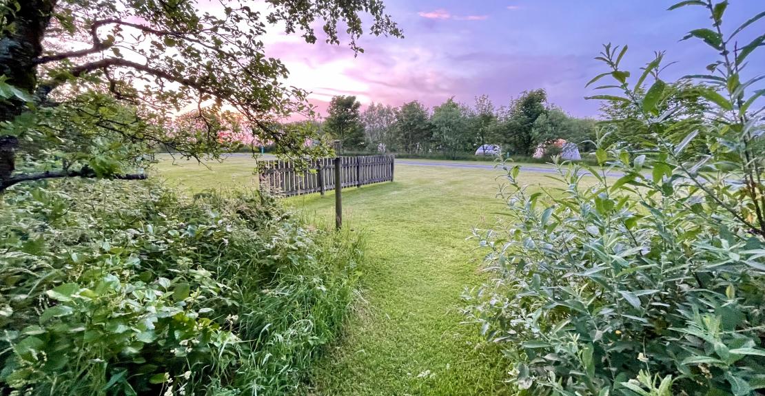 Warcombe Farm Camping Park Mortehoe Woolacombe North Devon