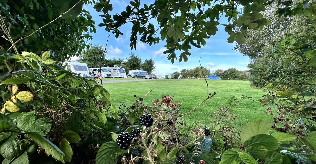 Warcombe Farm Camping Park Mortehoe Woolacombe North Devon