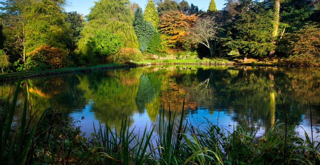 Marwood Hill Gardens Locals Offer