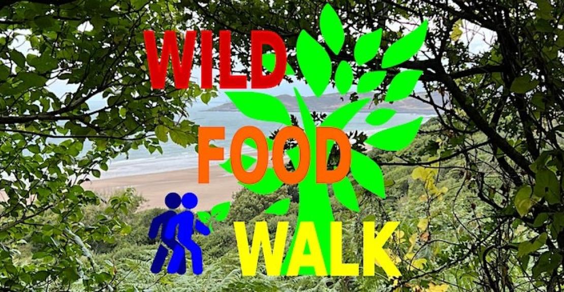 Wild Food Walk October 2023 Woolacombe 