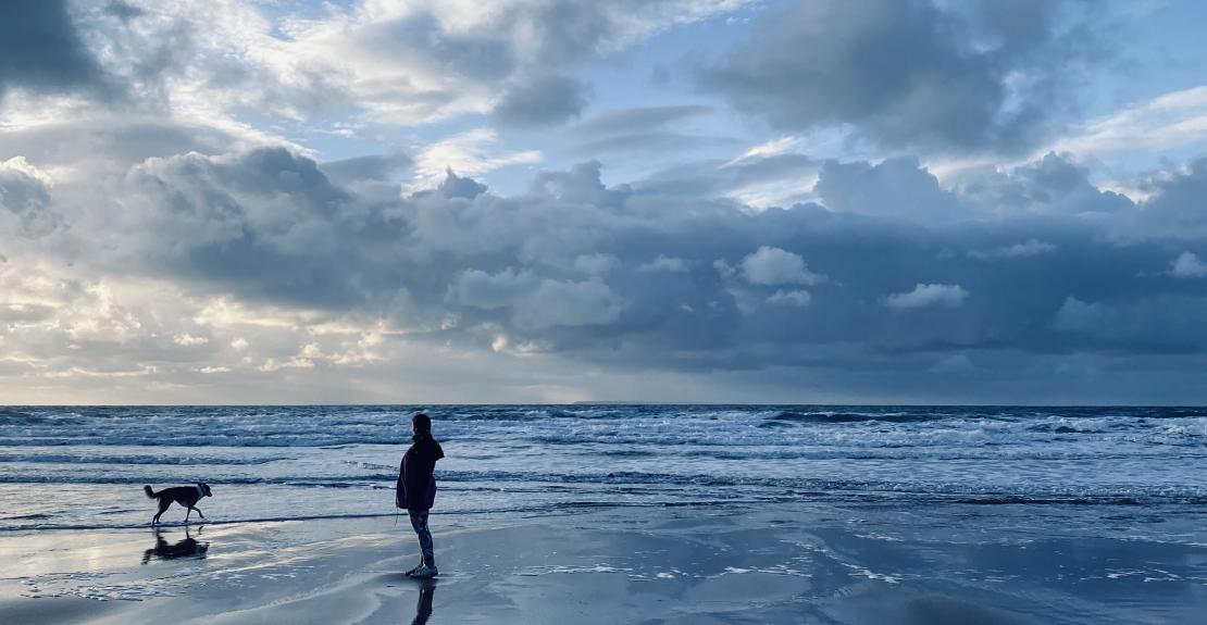 Winter Walks Oaklea Dog Friendly Holidays Woolacombe