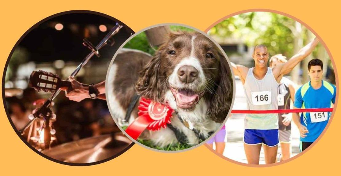 West Down Village Fete, Dog Show and Fun Run 2024