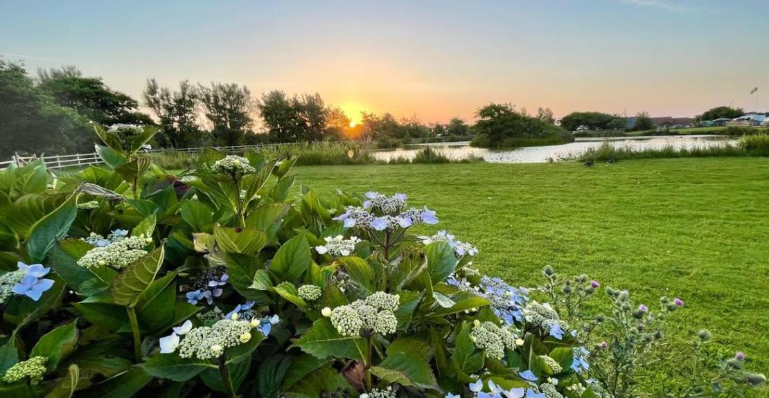 Warcombe Farm Camping Park Mortehoe Woolacombe North Devon