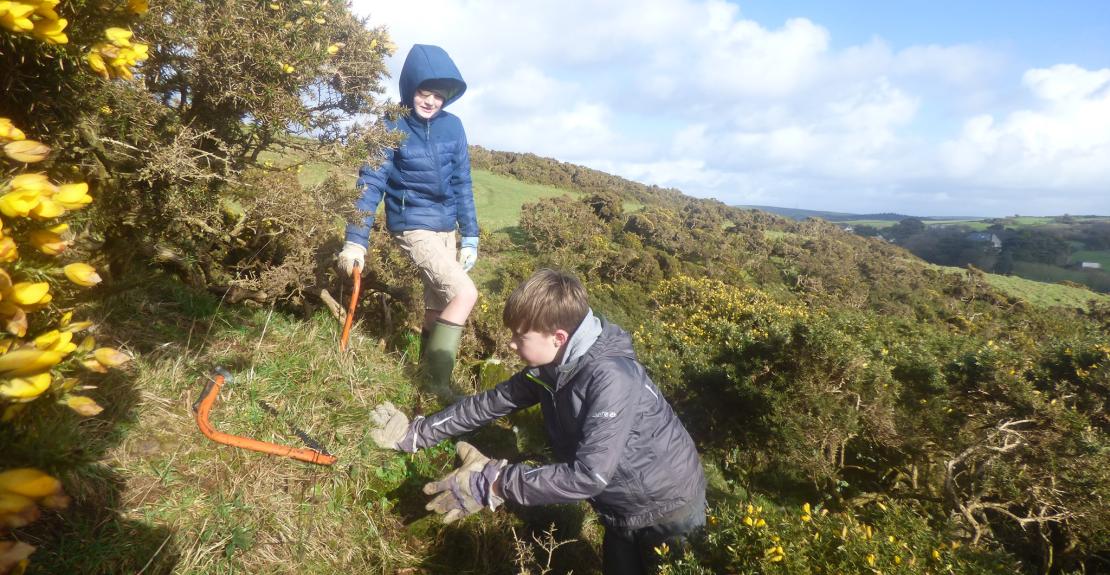 National Trust Family Volunteering Woolacombe Bash and Burn 2025