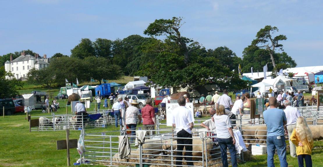 Woolsery Agricultural Show 2025