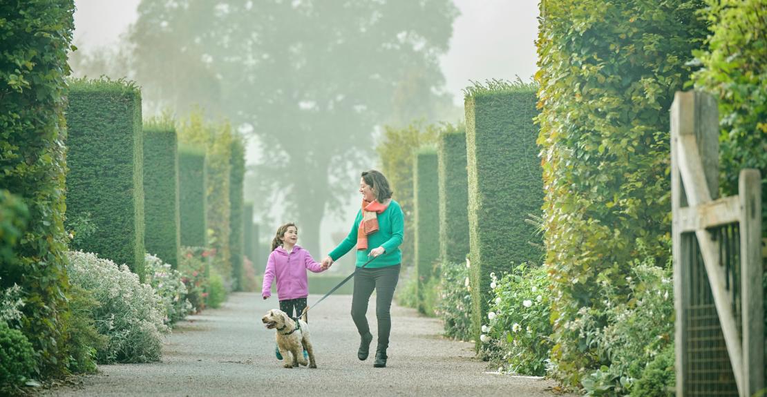 Paws on Paths at RHS Rosemoor Dog Trial 2025
