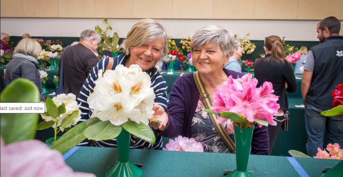 RHS Spring Blooms