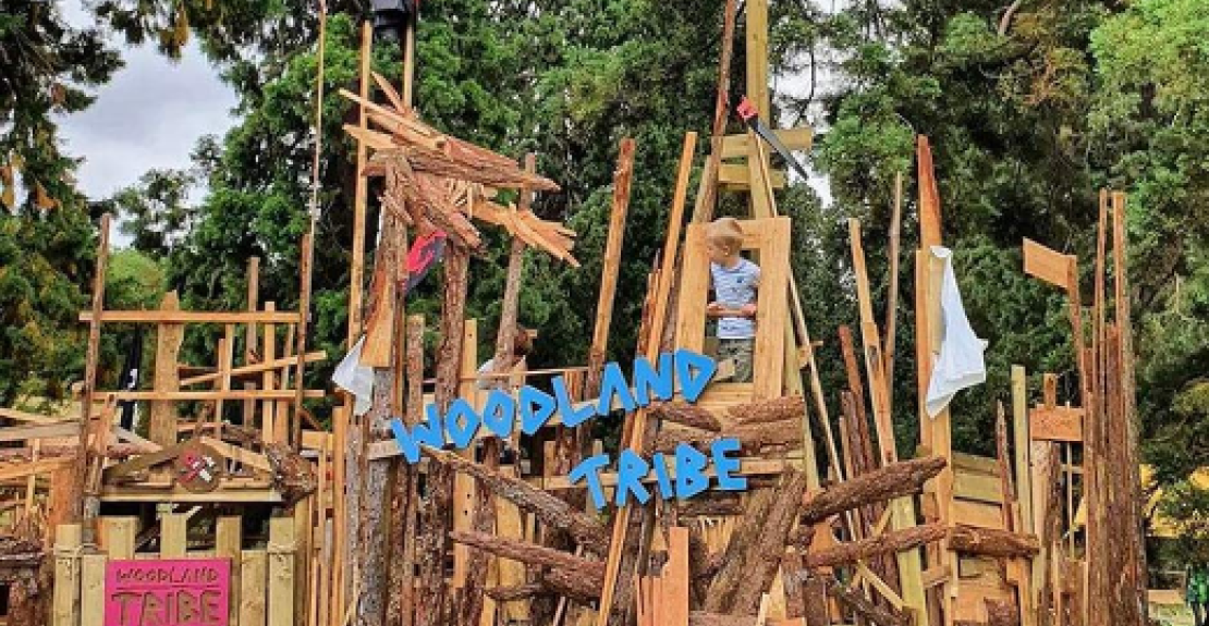 The Great Woodlands Adventure at RHS Rosemoor