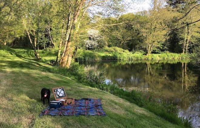 Spreacombe Gardens Summer Discount