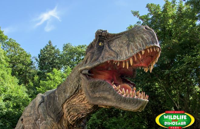 Combe Martin Wildlife and Dinosaur Park North Devon 