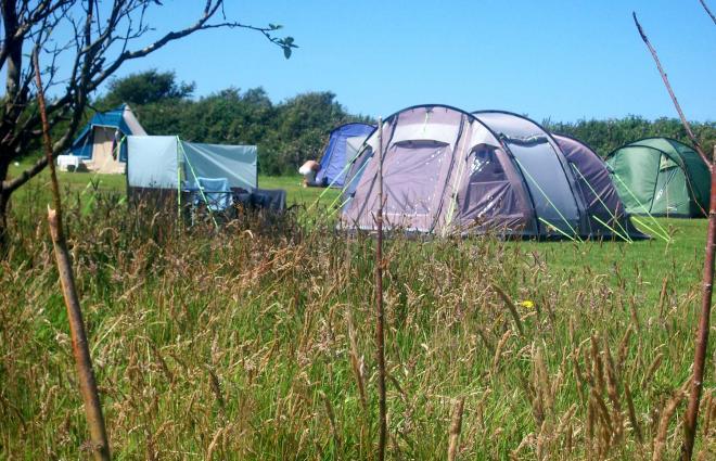 Lee Meadow Farm Camping Near Woolacombe North Devon