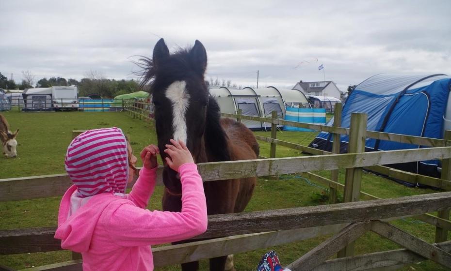 Sunnymead Farm Camping & Touring Site near Woolacombe