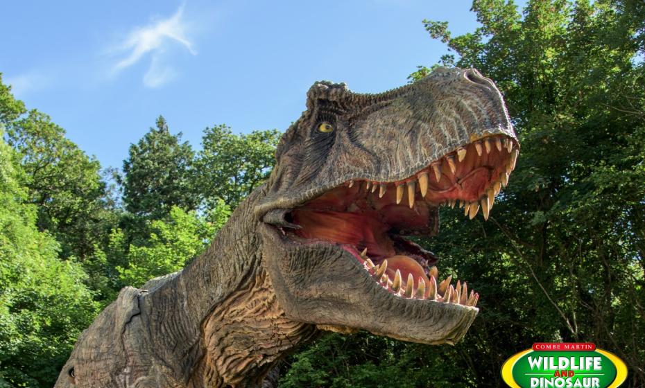 Combe Martin Wildlife and Dinosaur Park North Devon 