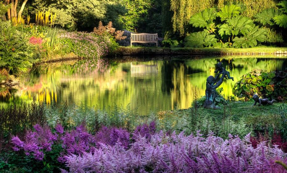 Marwood Hill Garden North Devon 