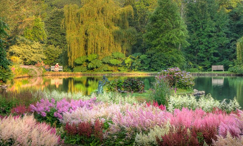 Marwood Hill Garden North Devon 