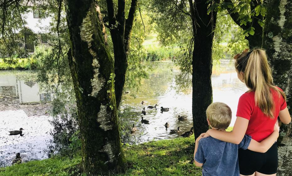 Feeding the Ducks at Willingcott