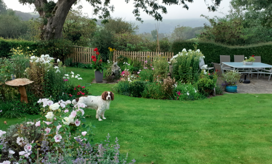 Shaftsboro Farm B&B Cottage Caravan Woolacombe Mortehoe Lee North Devon 