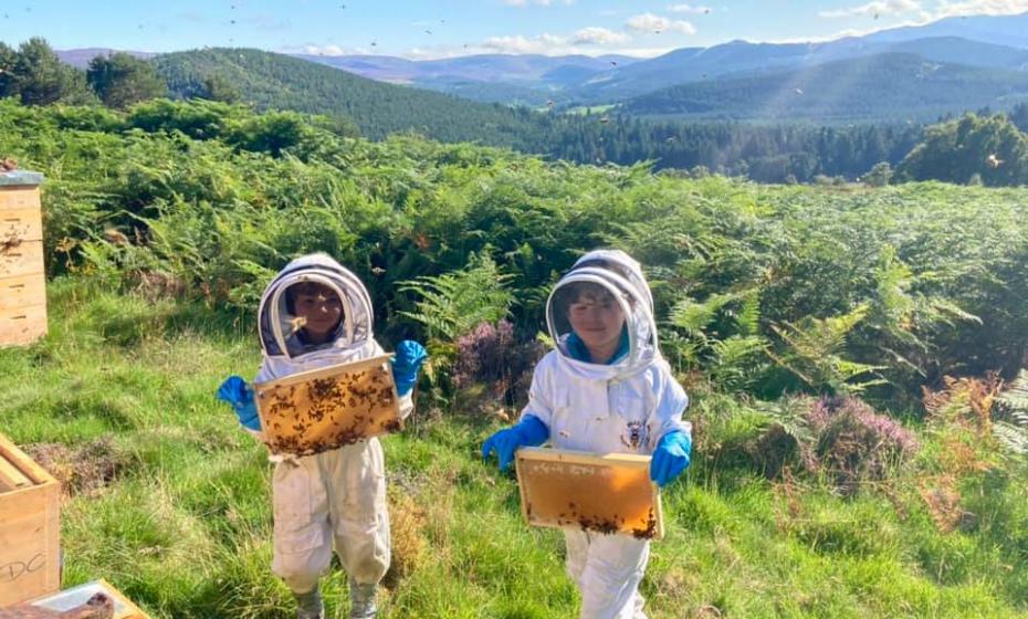 Quince Honey Farm South Molton North Devon Kids Bee Keeping family day out