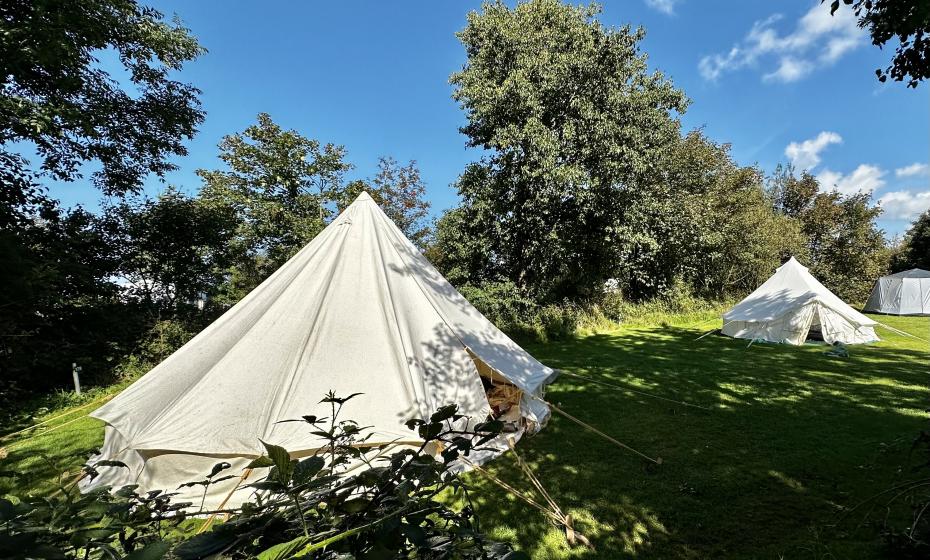Tent pitches