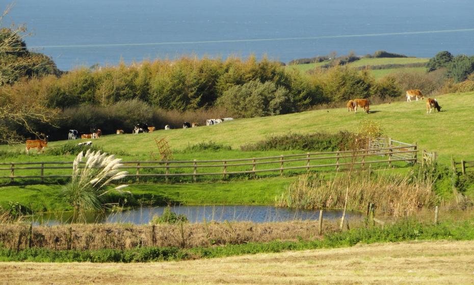 Lower Campscott Farm Sea View Holiday Cottages in Lee North Devon