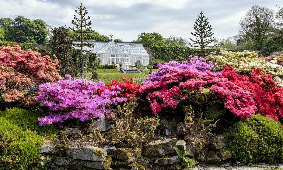 Arlington Court Garden National Trust Hugh Mothersole North Devon 