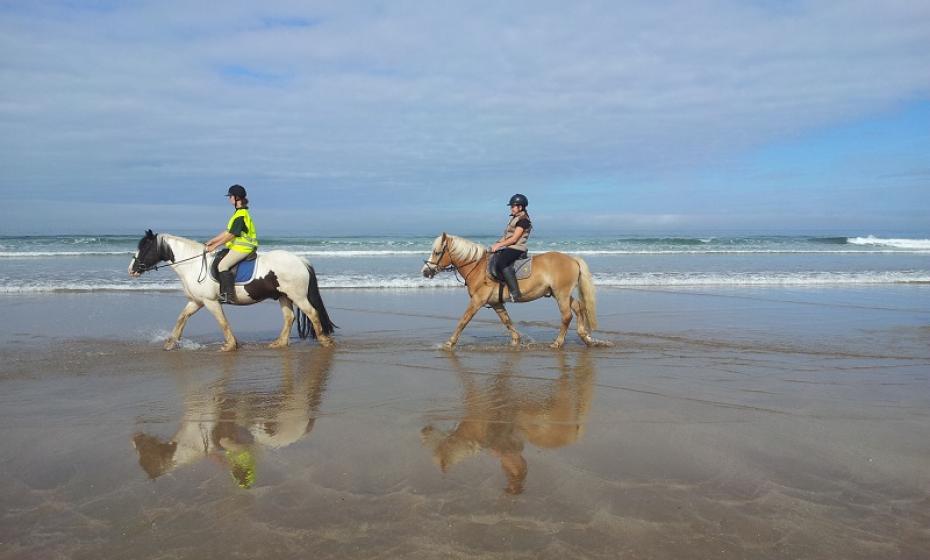 Woolacombe Riding Stables Beach Rides for Experienced Riders