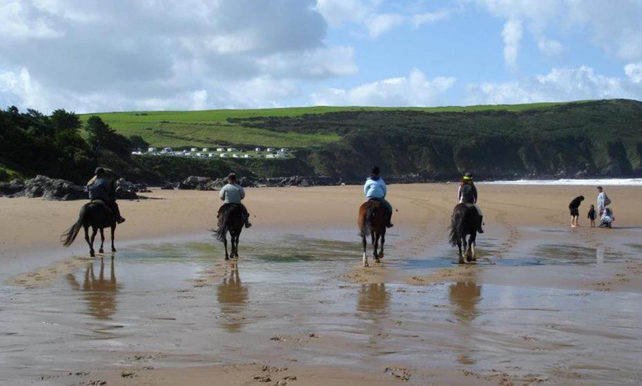 Woolacombe Riding Stables Beach Rides for Experienced Riders