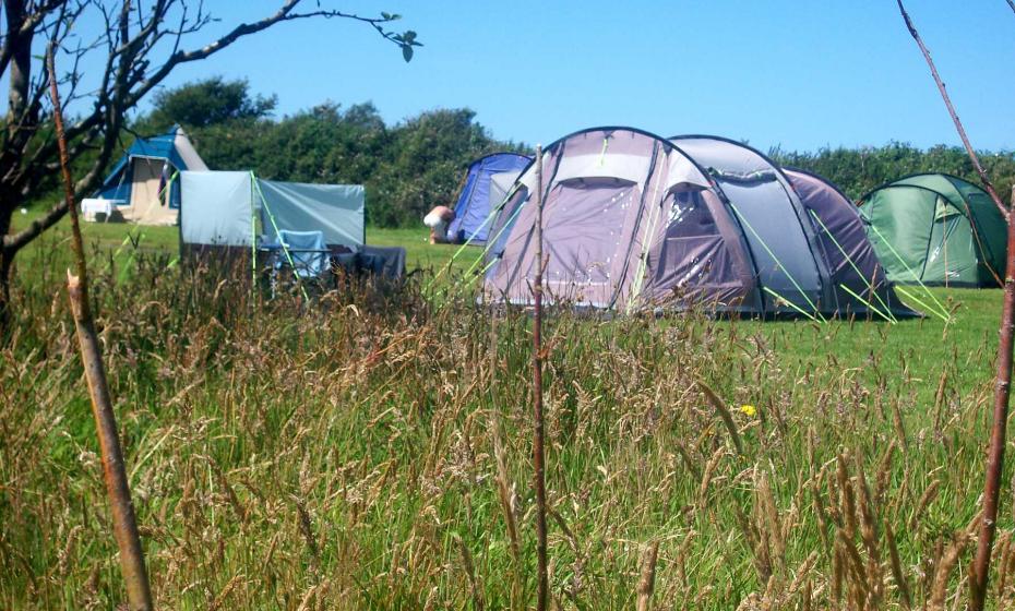 Lee Meadow Farm Camping Near Woolacombe North Devon