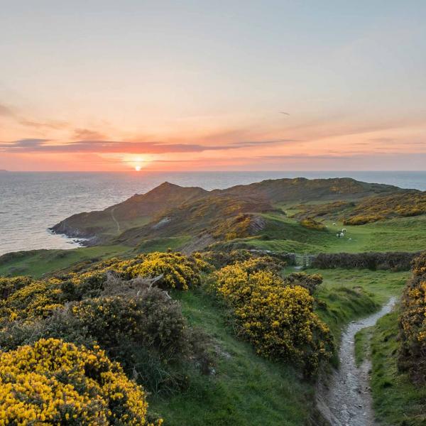 tourist information woolacombe