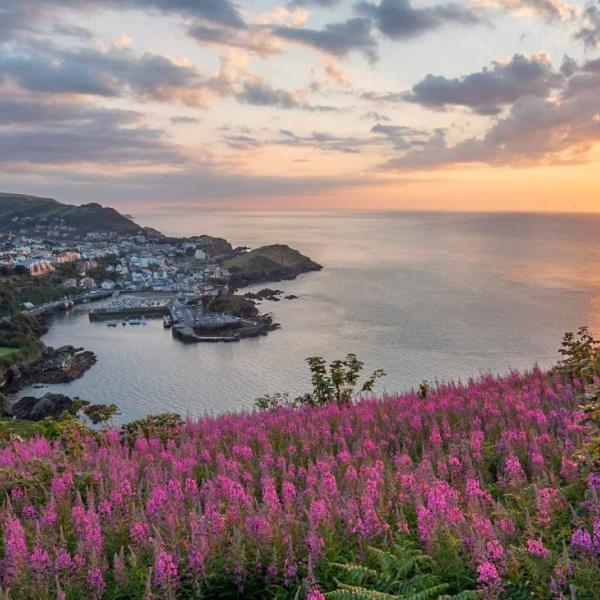 Ilfracombe Harbour at Sunset 