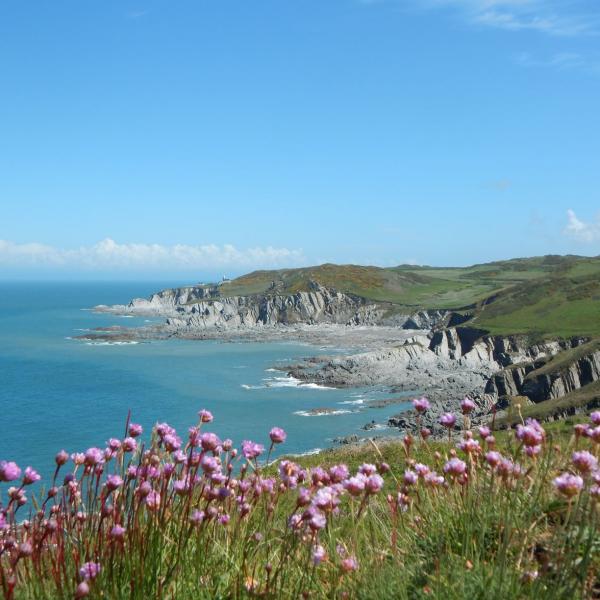 Rockham Bay Walk Mortehoe 