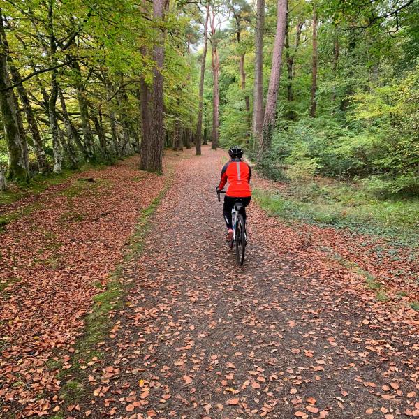 Woman cycling through woods on tarka trail near Meeth