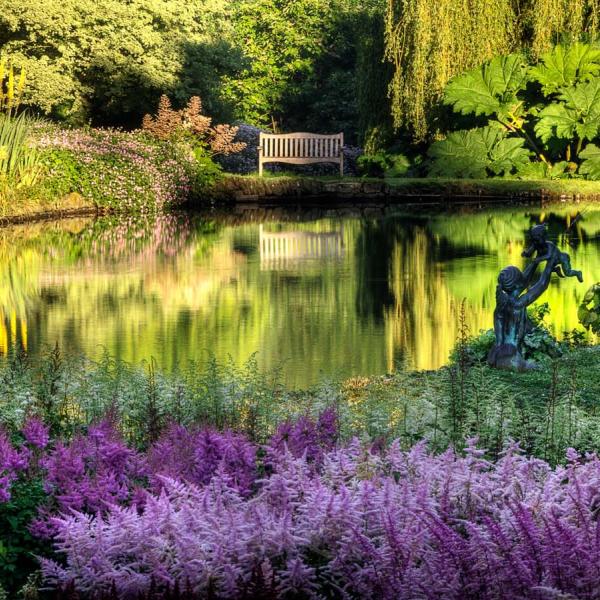 Marwood Hill Garden North Devon 