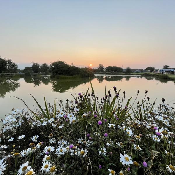 Warcombe Farm Camping Park Mortehoe Fishing Lake