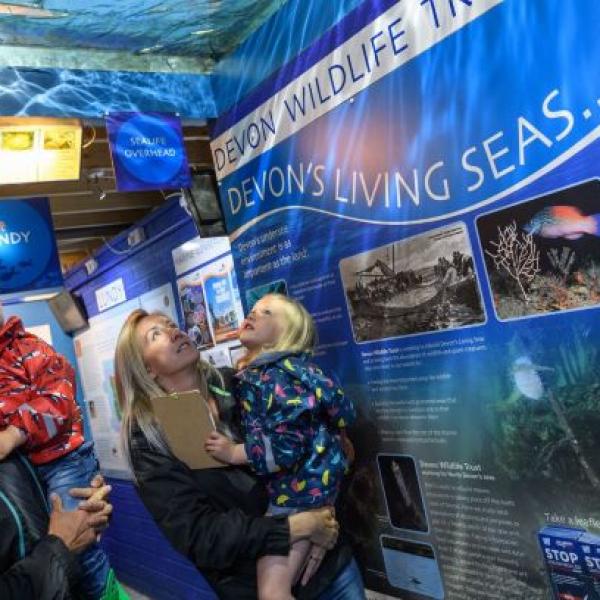 Ilfracombe Aquarium