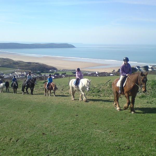 Woolacombe Riding Stables