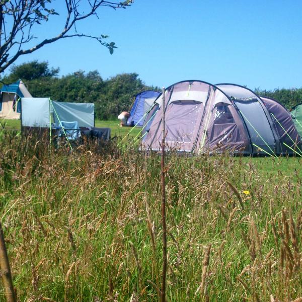 Lee Meadow Farm Camping Near Woolacombe North Devon