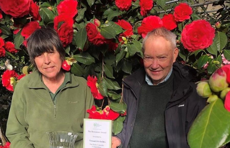 Marwood Hill Gardens Award Winning Camellias