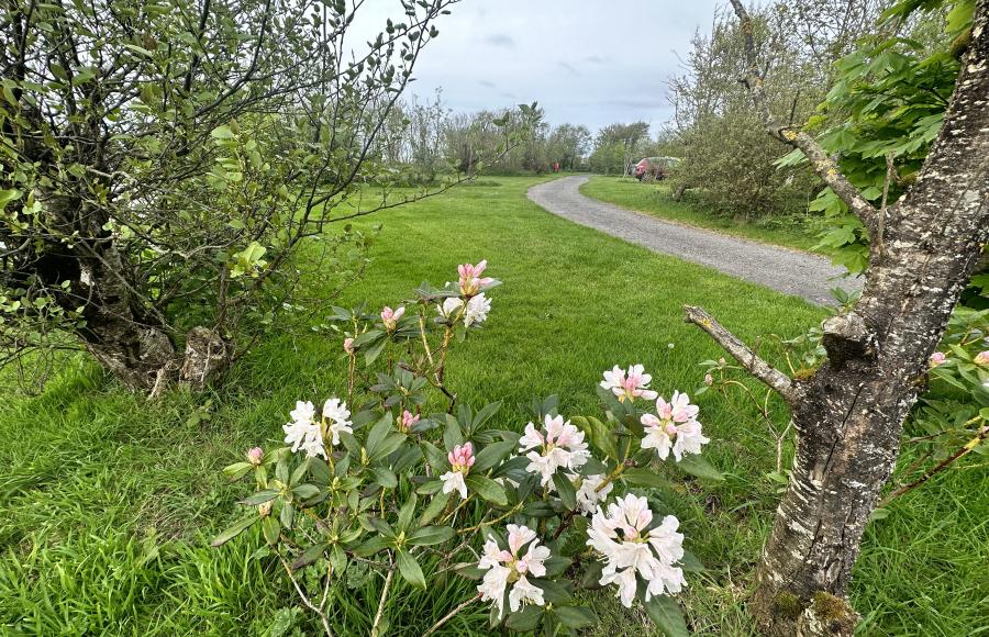 Warcombe Farm Camping Park Mortehoe Woolacombe North Devon 