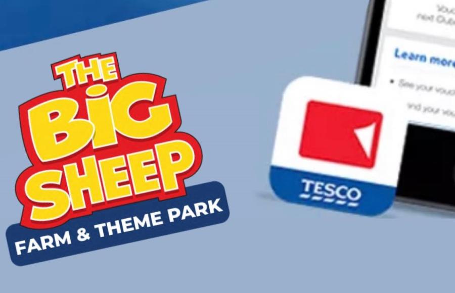 The Big Sheep North Devon Tesco Clubcard 